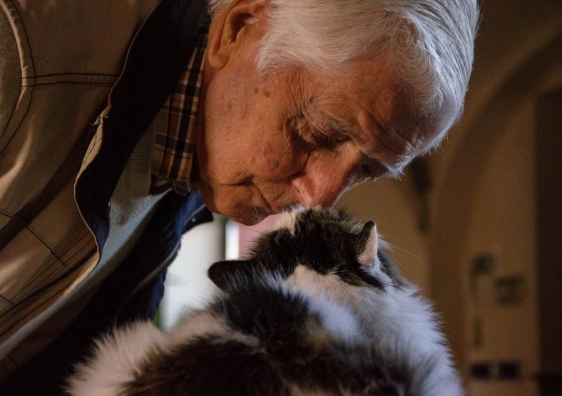 Hoe oud wordt een kat? Huisdier Maatjes Hoe oud wordt een kat? Huisdier Maatjes