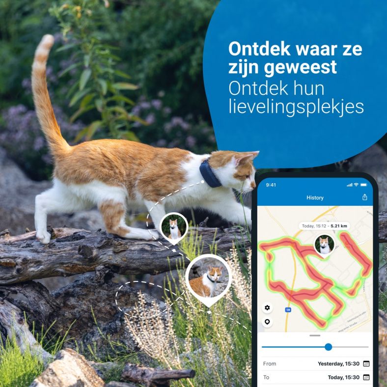 Beste GPS tracker kat 2022 Dit zijn de 7 beste GPS trackers voor katten Huisdier Maatjes
