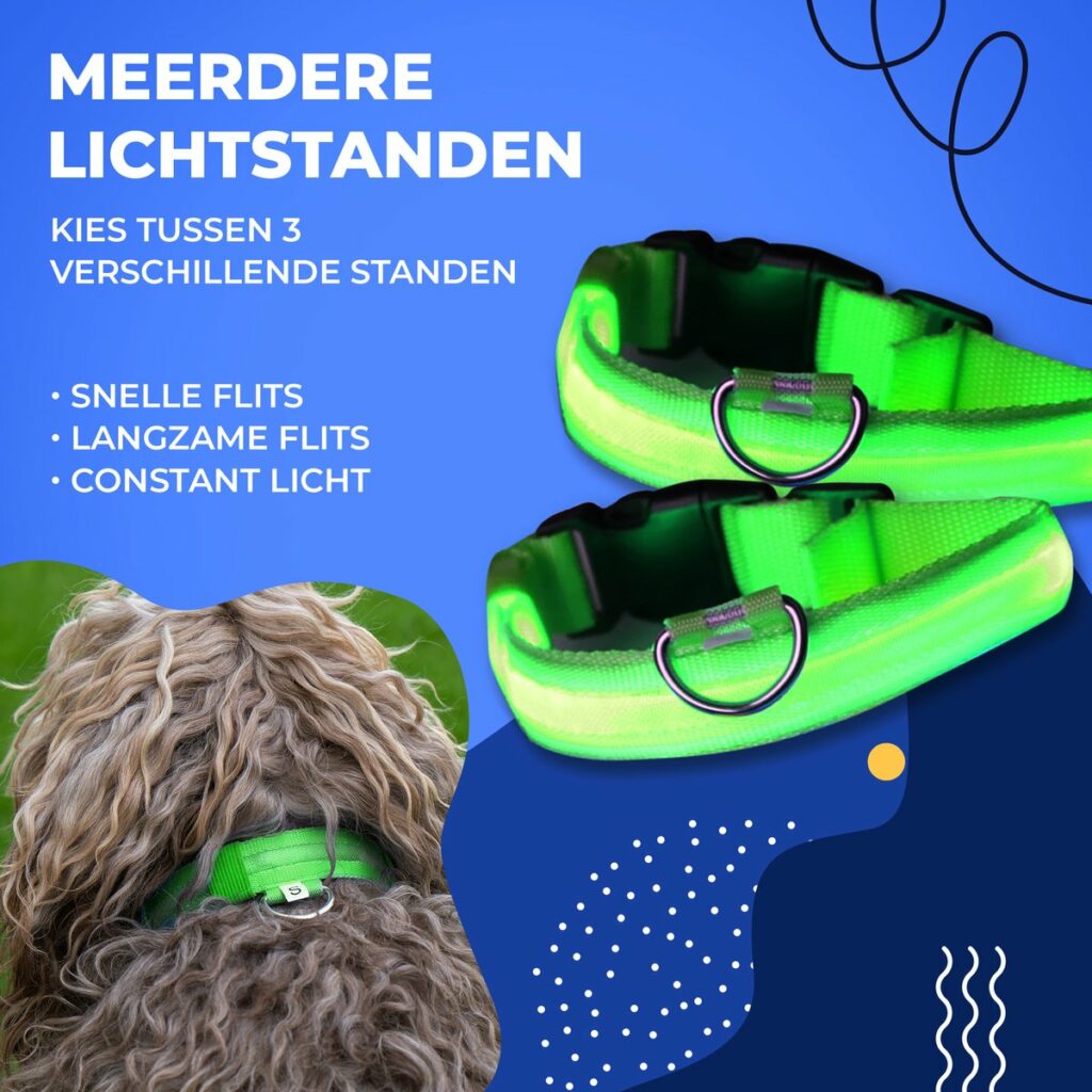 Dutchwide Lichtgevende Halsband Hond