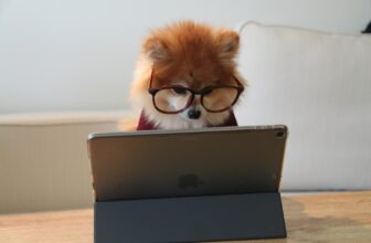 puppycursus
